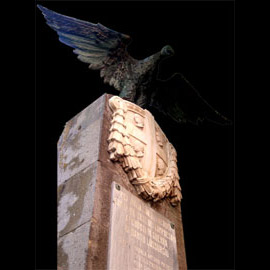 aquila
